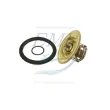 Termostato Volvo Penta 833366, 875796