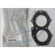 Guarnizione testata Yamaha 695-11181-A1