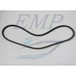 Cinghia servosterzo Mercruiser EMP 42516Q