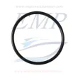 O-ring supporto paraolio Volvo Penta 818273