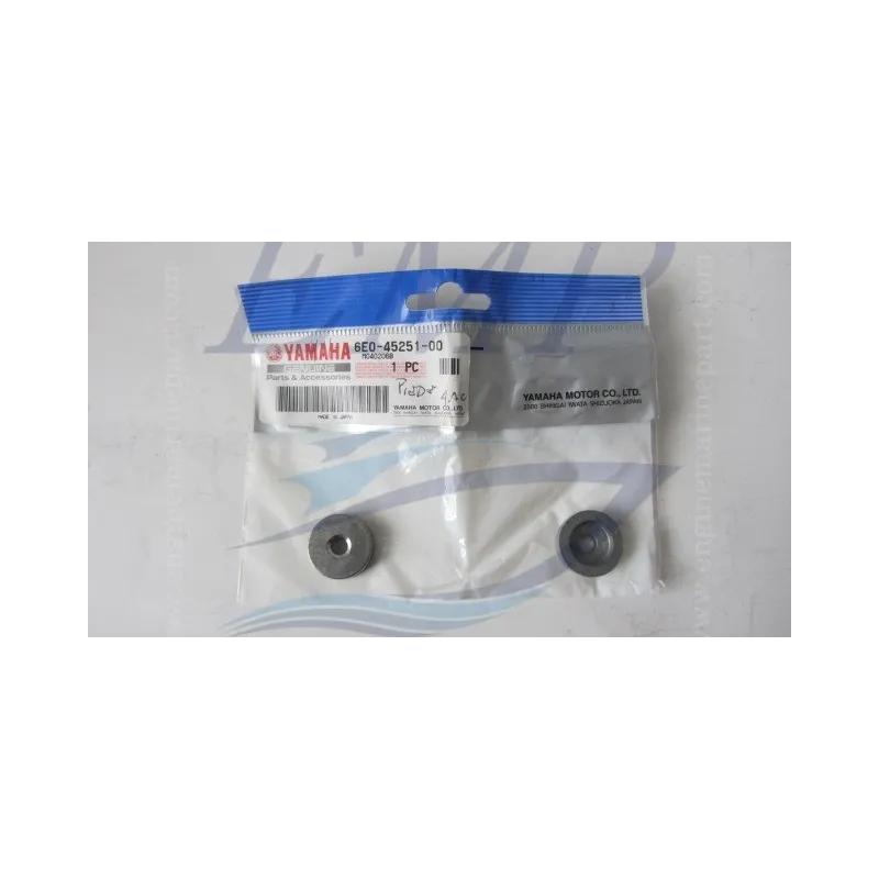 Anodo Piede Yamaha 6E0-45251-00