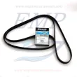 Cinghia servizi Mercruiser 861049Q