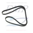 Cinghia servizi Volvo Penta  EMP Cinghia servizi Volvo Penta  EMP 30731809