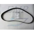 Cinghia distribuzione D1.7  Mercruiser 882509