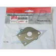 Piastrina in acciaio corpo pompa Yamaha 655-44323-01