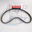 Cinghia distribuzione Selva 8042010