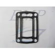 Guarnizione scarico riser Omc EMP 913783 / 0351325