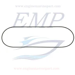 Guarnizione coperchio valvole Volvo Penta EMP 3580496