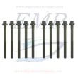 Kit bulloni testata Volvo Penta EMP 1306341