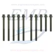 Kit bulloni testata Volvo Penta EMP 1326239, 1317761