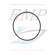 O-ring corpo pompa Volvo Penta 925259