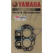 Guarnizione testata Yamaha 66M-11181-10