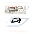 Guarnizione carburatore Yamaha 6K8-14536-11