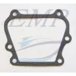 Guarnizione aspirazione   Johnson / Evinrude EMP 0307133