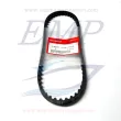 Cinghia distribuzione Honda 14400-ZV4-004