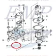 O-ring corpo pompa Honda 91356-ZZ3-000