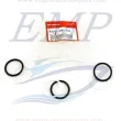 Kit o-ring rasamento pistoni trim Honda 91357-ZW1-701