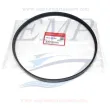 Cinghia alternatore Honda 31638-ZY6-003