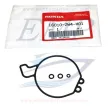 Kit guarnizioni carburatore Honda 16010-ZW4-H01