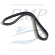 Cinghia alternatore, 2387cc, c/idroguida,  FNM 4.130.021.1