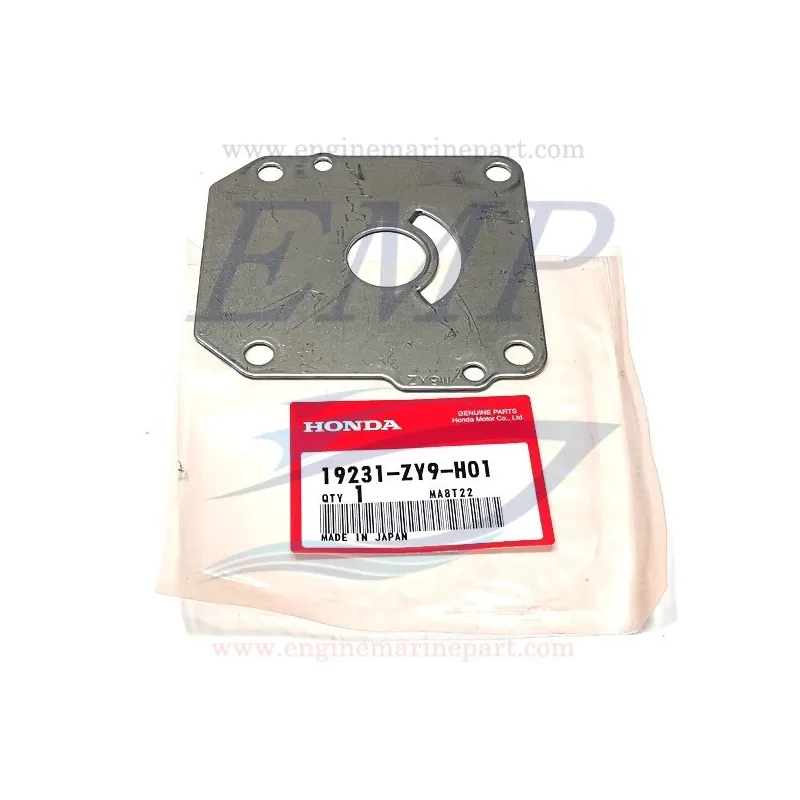 Piastrina corpo pompa Honda 19231-ZY9-H01