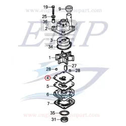 Piastrina corpo pompa Honda 19231-ZY9-H01