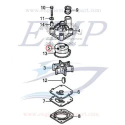 Scodellino corpo pompa Honda 19223-ZY9-H00