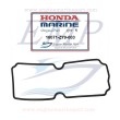 Guarnizione vapor separator Honda 16071-ZY9-003