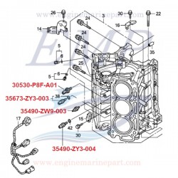 Sensore pressione olio Honda 35490-ZY3-004