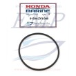 O-ring scarico Honda 91304-ZY3-000