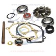 Kit di revisione pompa di circolazione Volvo Penta 876600