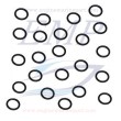 O-ring girante Johnson, Evinrude, BRP, 3852089, 0310584