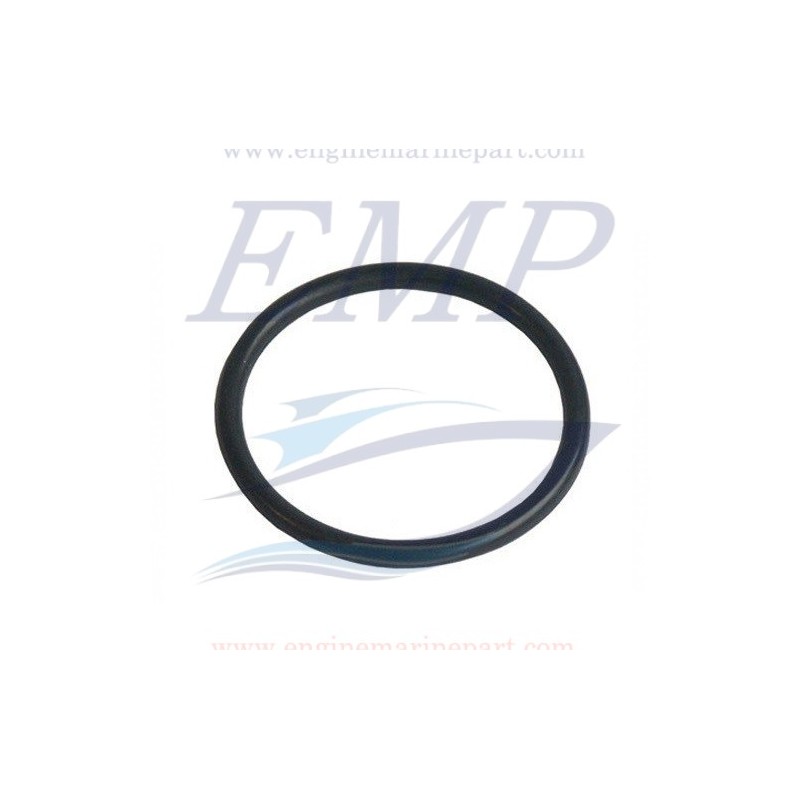 O-ring pompa acqua Yanmar EMP 24321-000350