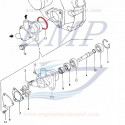 O-ring pompa acqua Yanmar EMP 24321-000350