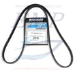 Cinghia alternatore Mercury 828507Q4