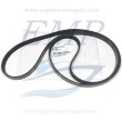 Cinghia Mercruiser 896308