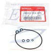 Kit guarnizioni carburatore Honda 16010-ZV4-005