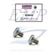 Vite tappo olio piede Johnson, Evinrude 0309243