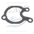 Guarnizione corpo pompa Johnson, Evinrude 0330447
