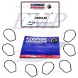 Guarnizione corpo pompa Johnson, Evinrude 0330342
