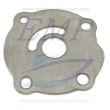 Piastrina corpo pompa Johnson, Evinrude 0329391, 0765642