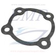 Guarnizione corpo pompa Johnson, Evinrude 0324449