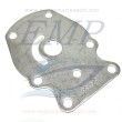 Piastrina in acciaio corpo pompa Johnson, Evinrude 0328755