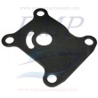 Piastrina in acciaio corpo pompa Johnson, Evinrude 0318995