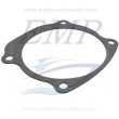 Guarnizione corpo pompa Johnson, Evinrude 0338484
