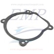 Guarnizione corpo pompa Johnson, Evinrude 0355285