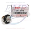 Termostato Suzuki 17670-93953, 17670-93955