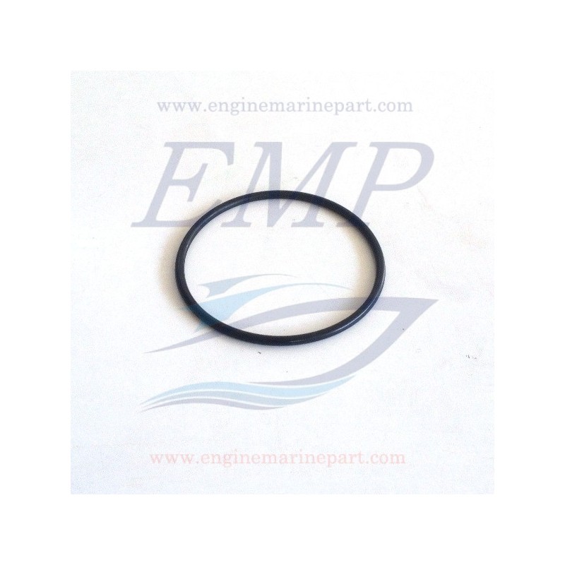 4.128.008.1 O-ring  Pompa Acqua FNM