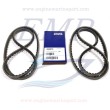 Cinghia Volvo Penta 966978