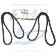 Cinghia Mercruiser 879150067